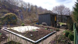 Ein überblick über den Garten mit dem Flies auf dem Beet