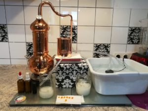 Destillation von Nelken