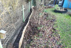 Steinplatten bilden eine Mauer hinter Beerenobststräuchern