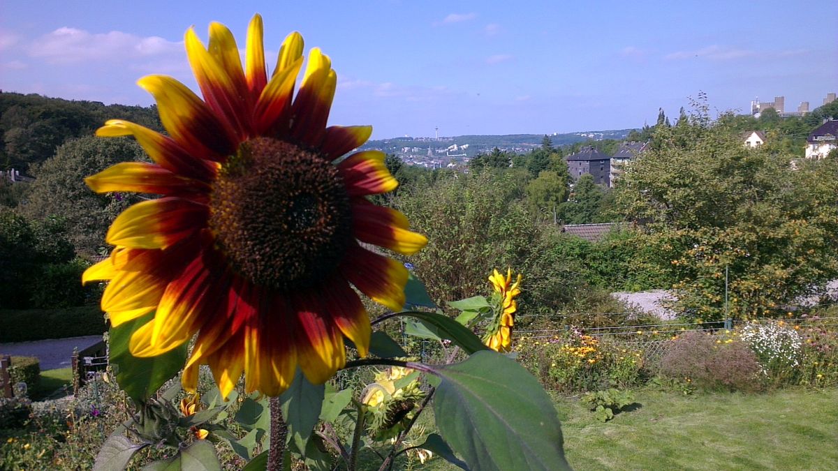 Unser erster Garten